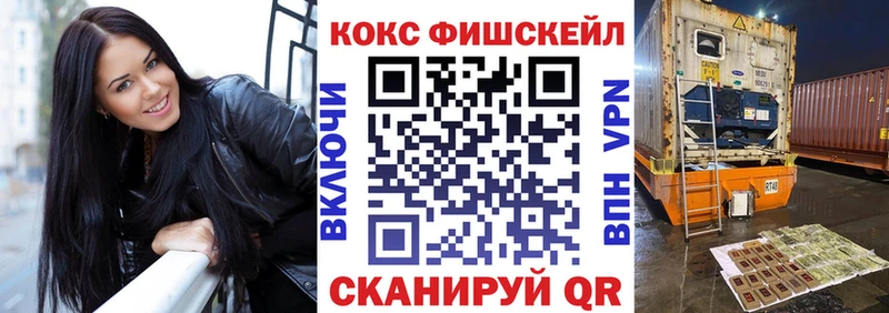 COCAIN Fish Scale Купить где Свободный