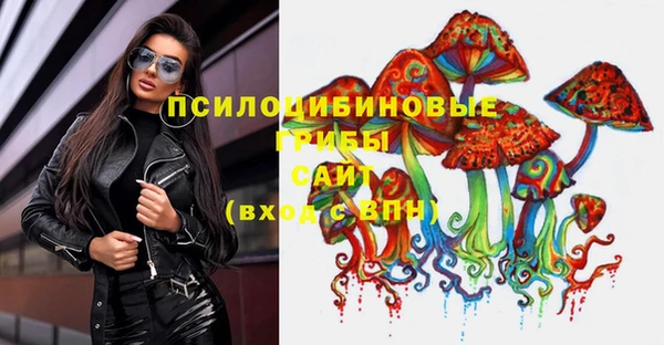 соль ск Вяземский