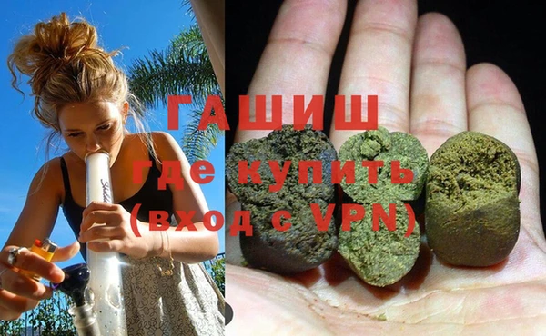 сатива Горнозаводск
