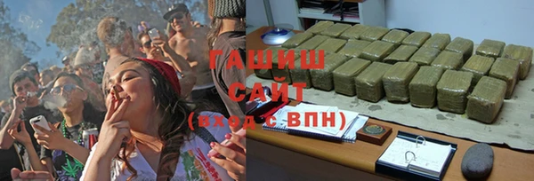 сатива Горнозаводск